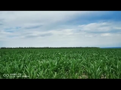 attuatore lineare elettrico intelligente